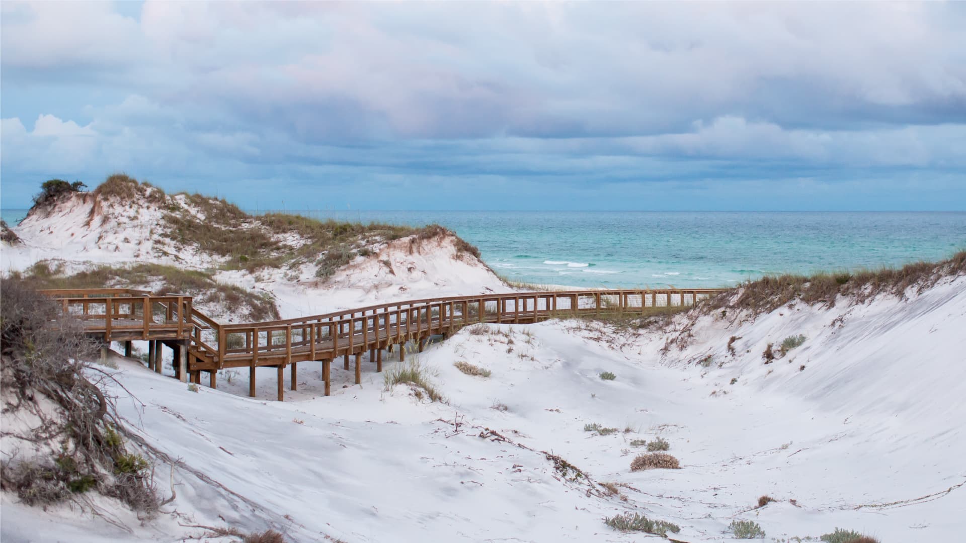 View of dunes with a little wood bridge