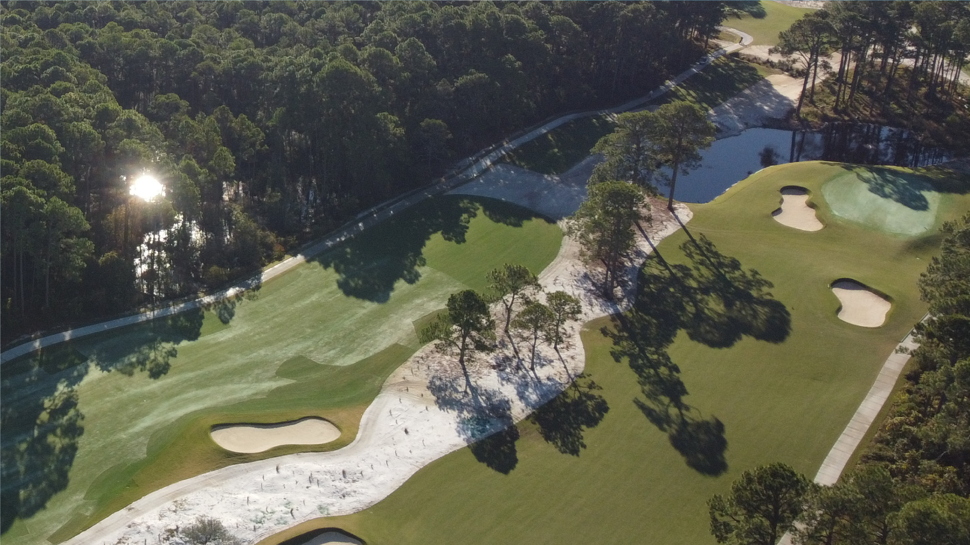 Aerial view of golf club with some trees aside
